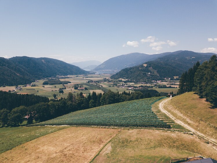 Landschaft mit Feldern | © Urlaub am Bauernhof Kärnten / Daniel Gollner