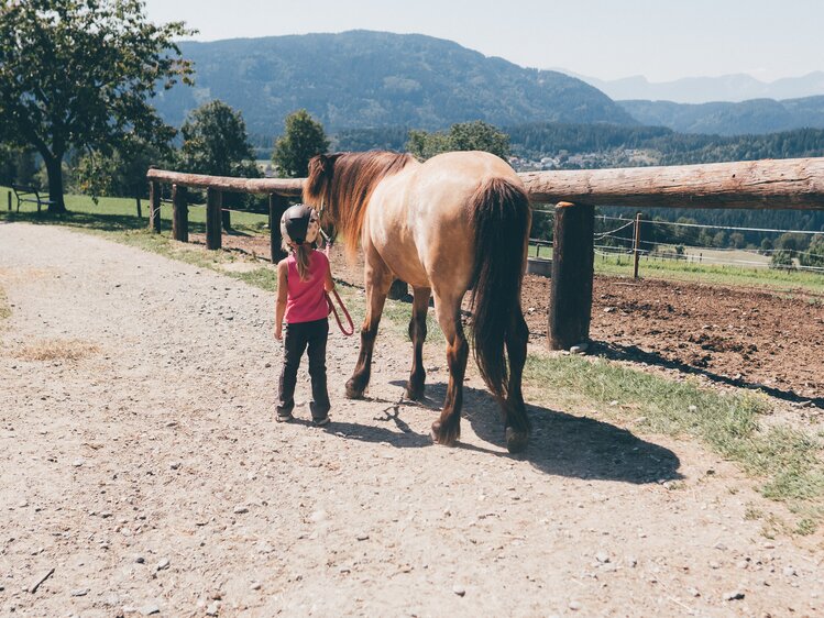 Mädchen führt das Pferd am Weg | © Urlaub am Bauernhof Kärnten / Daniel Gollner