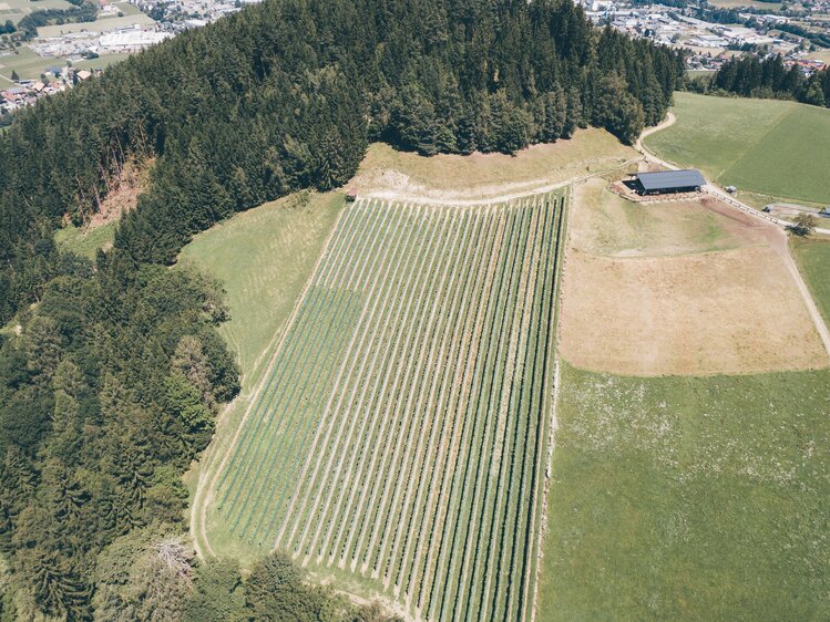 Landschaft mit Feldern | © Urlaub am Bauernhof Kärnten / Daniel Gollner