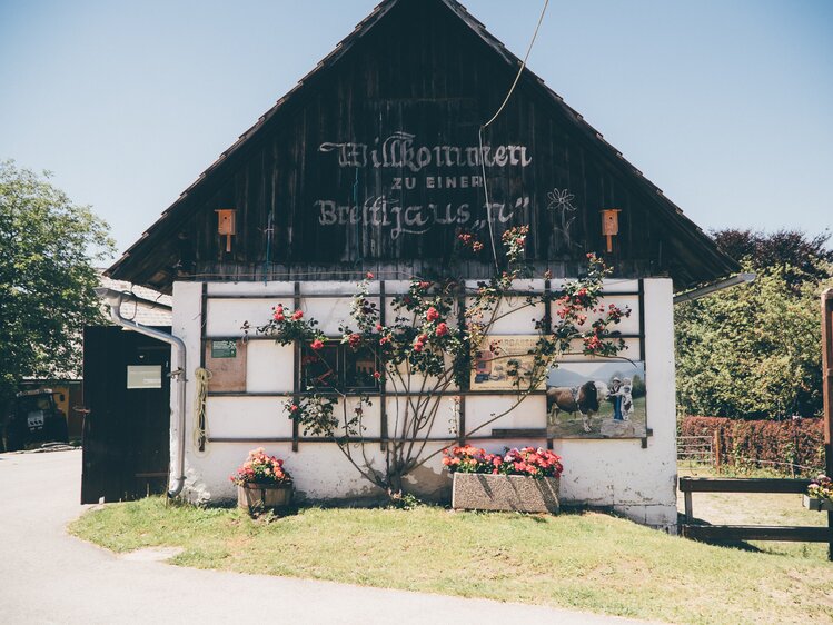 Stall mit Blumen | © Urlaub am Bauernhof Kärnten / Daniel Gollner
