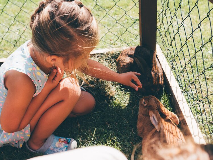 Kind mit Hasen im Hasenstall | © Urlaub am Bauernhof Kärnten / Daniel Gollner