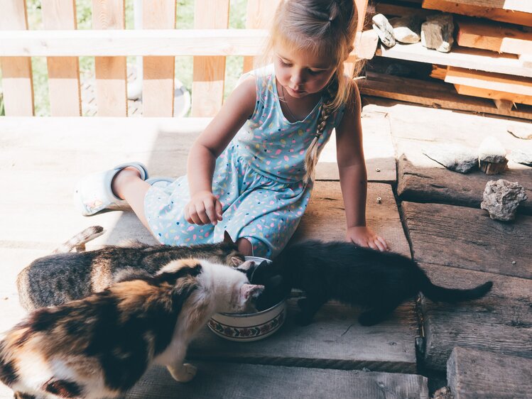 Mädchen und Katzen trinken | © Urlaub am Bauernhof Kärnten / Daniel Gollner