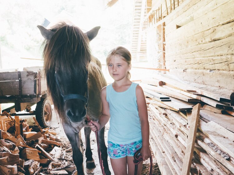 Mädchen und Pferd bei Holz | © Urlaub am Bauernhof Kärnten / Daniel Gollner