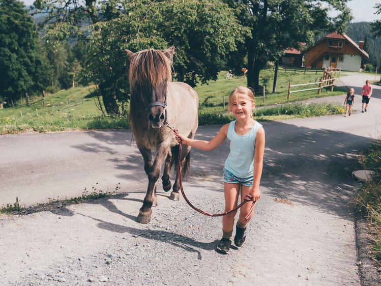 Mädchen führt Pferd | © Urlaub am Bauernhof Kärnten / Daniel Gollner