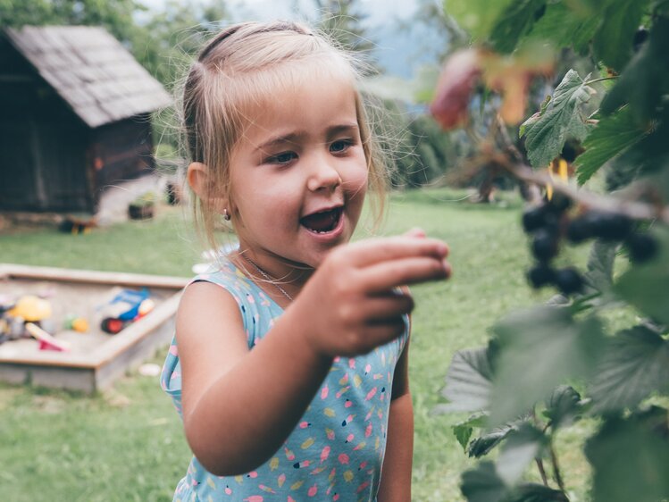 Mädchen pflückt Beeren vom Strauch | © Urlaub am Bauernhof Kärnten / Daniel Gollner