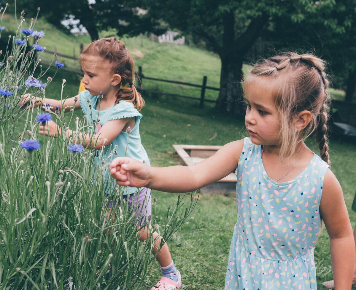 Mädchen pflücken Blumen | © Urlaub am Bauernhof Kärnten/ Daniel Gollner