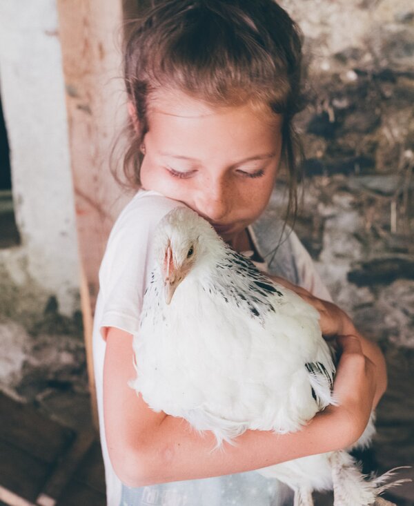 Mädchen und Huhn | © Urlaub am Bauernhof Kärnten / Daniel Gollner Mädchen hält das Huhn im Arm | © Urlaub am Bauernhof Kärnten / Daniel Gollner