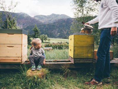 Mädchen zwischen den Bienenstöcken | © Urlaub am Bauernhof Kärnten/ Daniel Gollner Mädchen sitzt zwischen den Bienenstöcken | © Urlaub am Bauernhof Kärnten/ Daniel Gollner