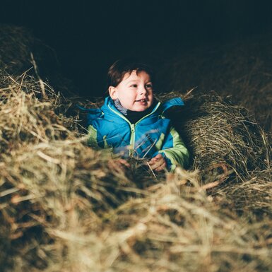 Kind sitzt im Heu | © Urlaub am Bauernhof Kärnten / Daniel Gollner