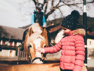 Mädchen streichelt das Pferd | © Urlaub am Bauernhof Kärnten / Daniel Gollner Mädchen streichelt das Pferd und Kind sitzt darauf | © Urlaub am Bauernhof Kärnten / Daniel Gollner