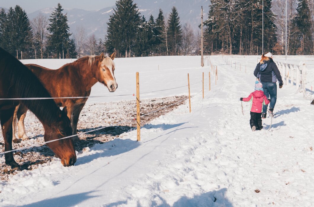 Erwachsener und Kind gehen am verschneiten Weg | © Urlaub am Bauernhof Kärnten/ Daniel Gollner