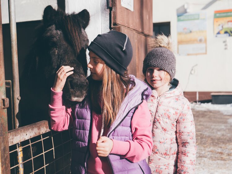 Kinder bei Pferd in der Box | © Urlaub am Bauernhof Kärnten / Daniel Gollner