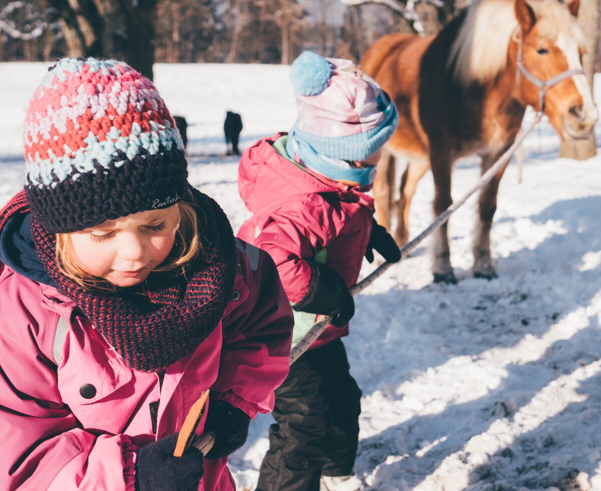 Kinder führen das Pferd | © Urlaub am Bauernhof Kärnten/ Daniel Gollner