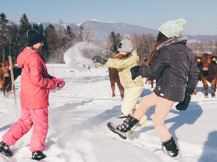 Kinder werfen mit Schnee | © Urlaub am Bauernhof Kärnten / Daniel Gollner