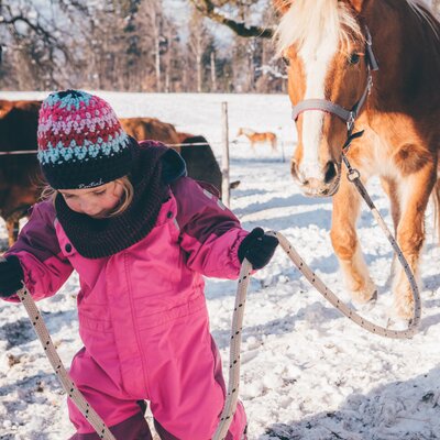 Kind führt das Pferd am Weg | © Urlaub am Bauernhof Kärnten/ Daniel Gollner