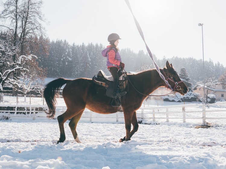 Kind reitet mit dem Pferd an den Zügeln | © Urlaub am Bauernhof Kärnten / Daniel Gollner