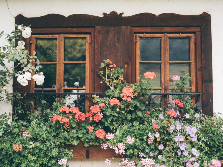Fenser mit Blumen | © Urlaub am Bauernhof Kärnten / Daniel Gollner