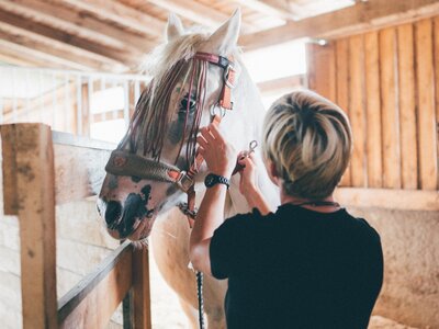 Frau beim Pferd | © Urlaub am Bauernhof Kärnten/ Daniel Gollner Frau beim Pferd im Stall | © Urlaub am Bauernhof Kärnten/ Daniel Gollner