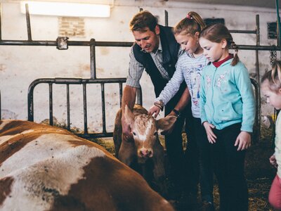 Mann und Kinder im Stall bei den Kühen | © Urlaub am Bauernhof Kärnten / Daniel Gollner