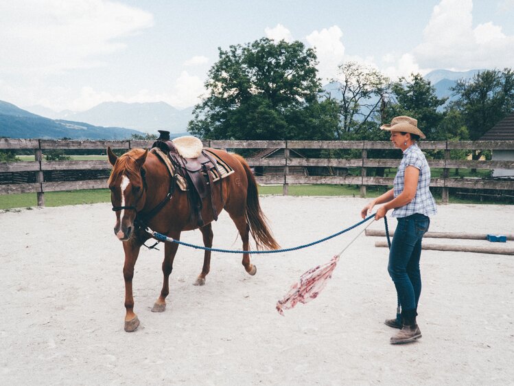 Frau und Pferd im Viereck | © Urlaub am Bauernhof Kärnten / Daniel Gollner