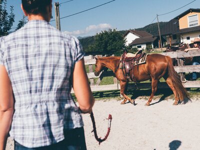 Frau und Pferd | © Urlaub am Bauernhof Kärnten / Daniel Gollner Frau und Pferd im Viereck | © Urlaub am Bauernhof Kärnten / Daniel Gollner