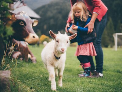 Mädchen und Frau bei der Ziege | © Urlaub am Bauernhof Kärnten / Daniel Gollner Mädchen und Frau bei der Ziege | © Urlaub am Bauernhof Kärnten / Daniel Gollner