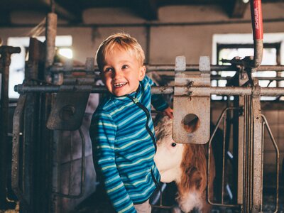 Bub im Stall | © Urlaub am Bauernhof Kärnten / Daniel Gollner Bub streichelt das Kalb im Stall | © Urlaub am Bauernhof Kärnten / Daniel Gollner