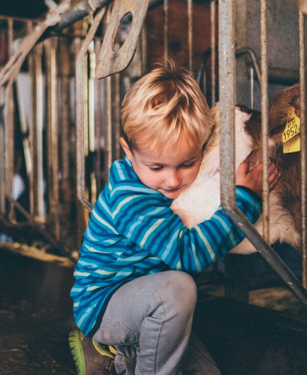 Bub im Stall | © Urlaub am Bauernhof Kärnten / Daniel Gollner Bub kuschelt mit dem Kalb im Stall | © Urlaub am Bauernhof Kärnten / Daniel Gollner