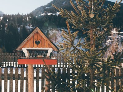 Vogelhaus | © Urlaub am Bauernhof Kärnten / Daniel Gollner Vogelhaus vor Winterlandschaft | © Urlaub am Bauernhof Kärnten / Daniel Gollner