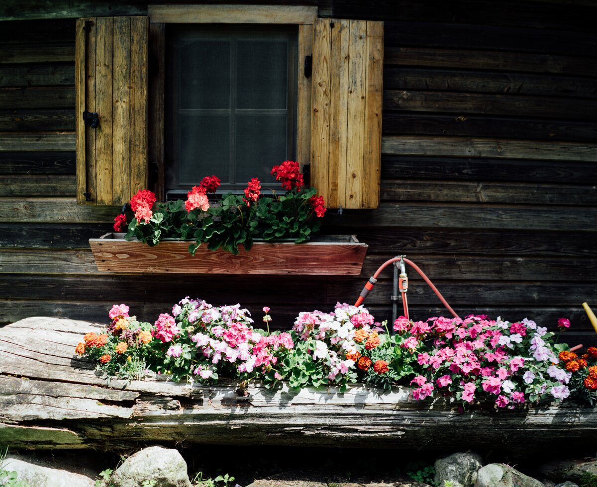 Fenster mit Blumen | © Urlaub am Bauernhof Kärnten / Daniel Gollner