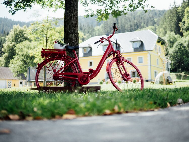 Rotes Fahrrad an den Baum gelehnt | © Urlaub am Bauernhof Kärnten / Daniel Gollner