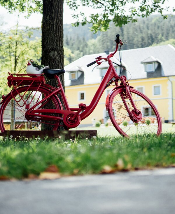 Rotes Fahrrad | © Urlaub am Bauernhof Kärnten / Daniel Gollner Rotes Fahrrad an den Baum gelehnt | © Urlaub am Bauernhof Kärnten / Daniel Gollner