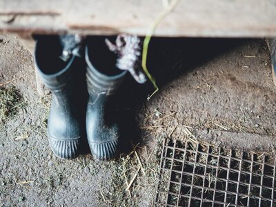 Stiefel | © Urlaub am Bauernhof Kärnten / Daniel Gollner Stiefel | © Urlaub am Bauernhof Kärnten / Daniel Gollner