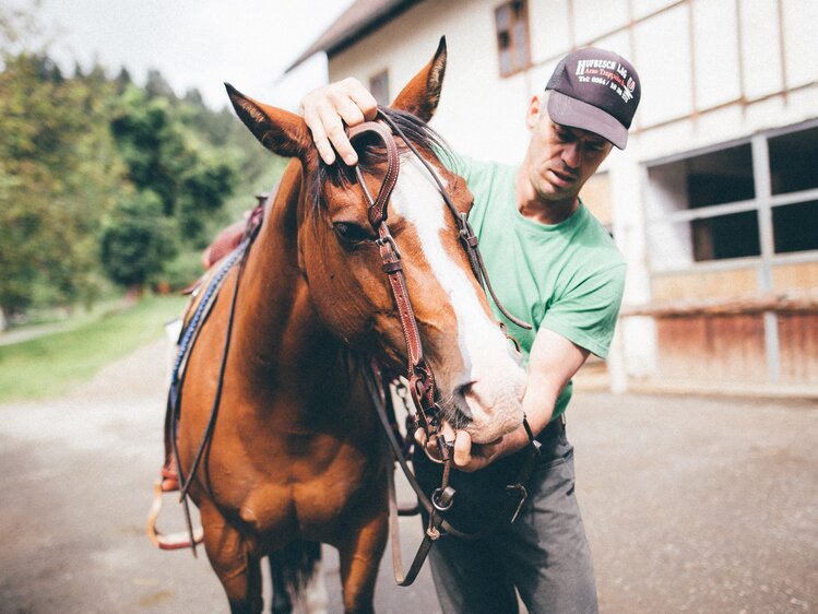 Bauer legt dem Pferd das Zaumzeug an | © Urlaub am Bauernhof Kärnten / Daniel Gollner