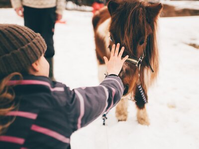 Mädchen und Pony | © Urlaub am Bauernhof Kärnten / Daniel Gollner Mädchen streichelt den Pony | © Urlaub am Bauernhof Kärnten / Daniel Gollner