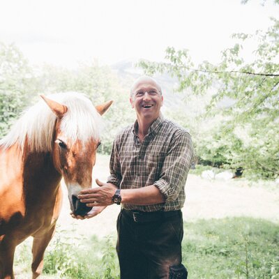 Mann steht bei Pferd und greift auf den Kopf des Pferdes | © Urlaub am Bauernhof Kärnten / Daniel Gollner