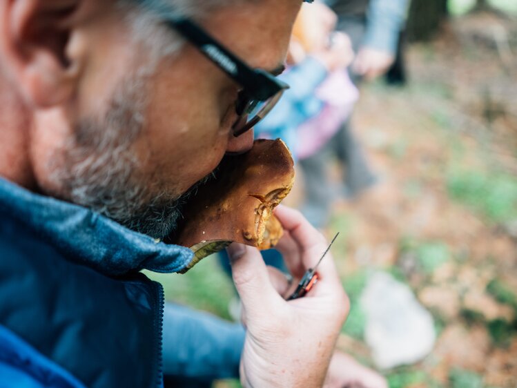 Mann riecht an einem Pilz im Wald | © Urlaub am Bauernhof Kärnten/ Daniel Gollner