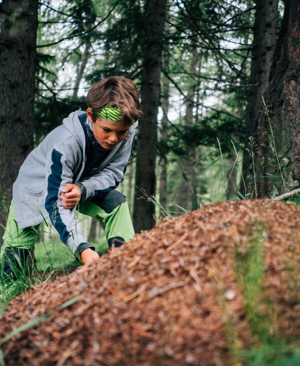 Bub beim Ameisenhaufen | © Urlaub am Bauernhof Kärnten / Daniel Gollner Bub beim Ameisenhaufen im Wald | © Urlaub am Bauernhof Kärnten / Daniel Gollner