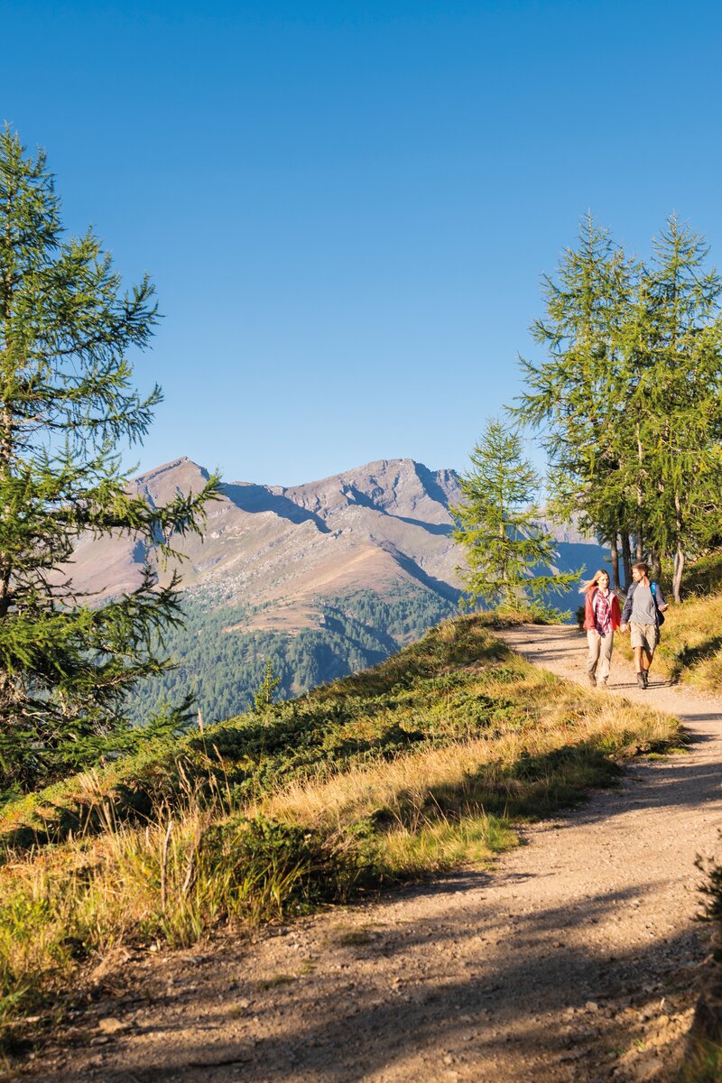 Familie wandert auf der Alm im Lieser-Maltatal mit Blick auf die Berge | © Rubert Mühlbacher / Tourismusregion Katschberg Lieser-Maltatal