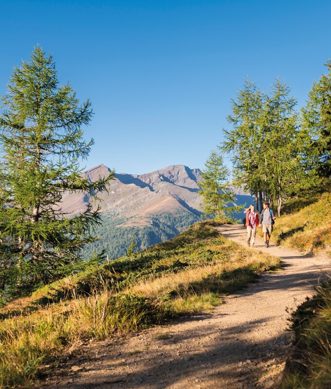 Familie wandert auf der Alm im Lieser-Maltatal mit Blick auf die Berge | © Rubert Mühlbacher / Tourismusregion Katschberg Lieser-Maltatal