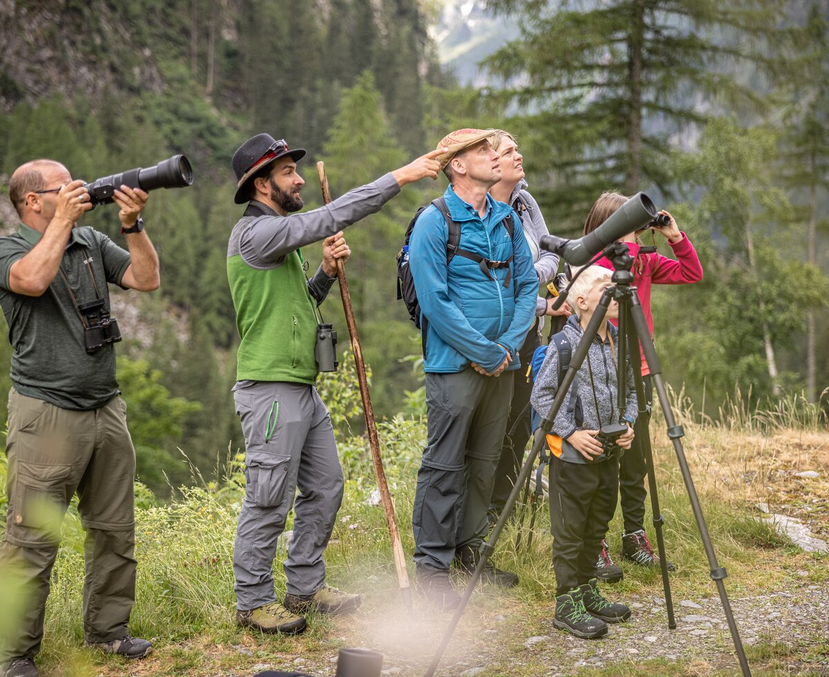 Wildtierbeobachtung im Nationalpark | © Alexander Müller/ Nationalparkregion Hohe Tauern Wildtierbeobachtung im Nationalpark Hohe Tauern rund um den Großglockner | © Alexander Müller/ Nationalparkregion Hohe Tauern