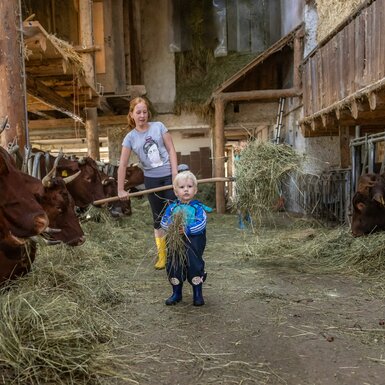 Kinder füttern die Kühe | © Landesverband Urlaub am Bauernhof Kärnten/ Achim Mandler Kinder füttern die Kühe im Stall mit Heu | © Landesverband Urlaub am Bauernhof Kärnten/ Achim Mandler