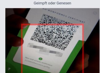 Green Check App | © LV NOE Green Check App | © LV NOE