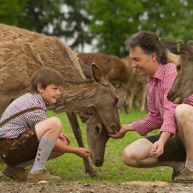 Hirsche füttern - Bauer und Wirt Langthaler | © Sonja Langthaler