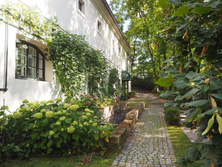 Garten - Alter Winzerkeller | © Privat zu Gast in Niederösterreich / Elena Paschinger / www.creativelena.com 