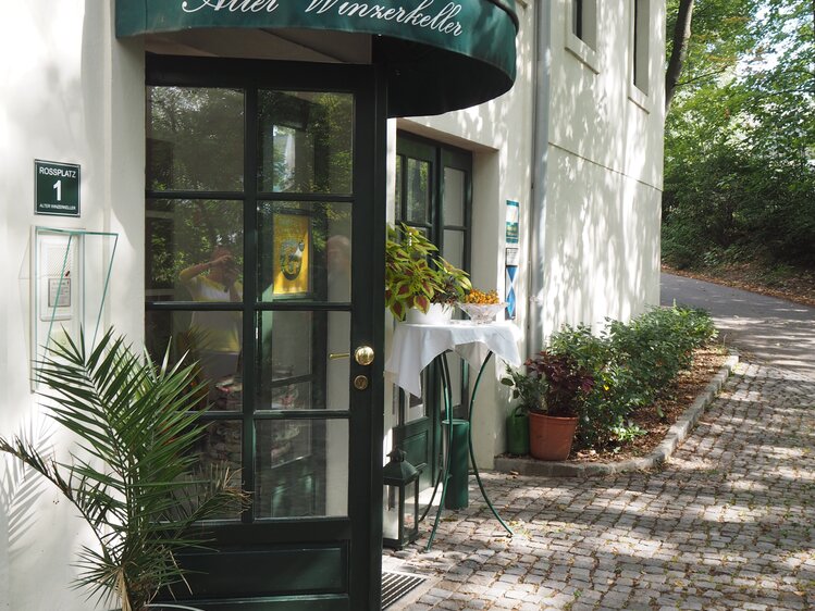 Eingangsbereich - Alter Winzerkeller | © Privat zu Gast in Niederösterreich / Elena Paschinger / www.creativelena.com 