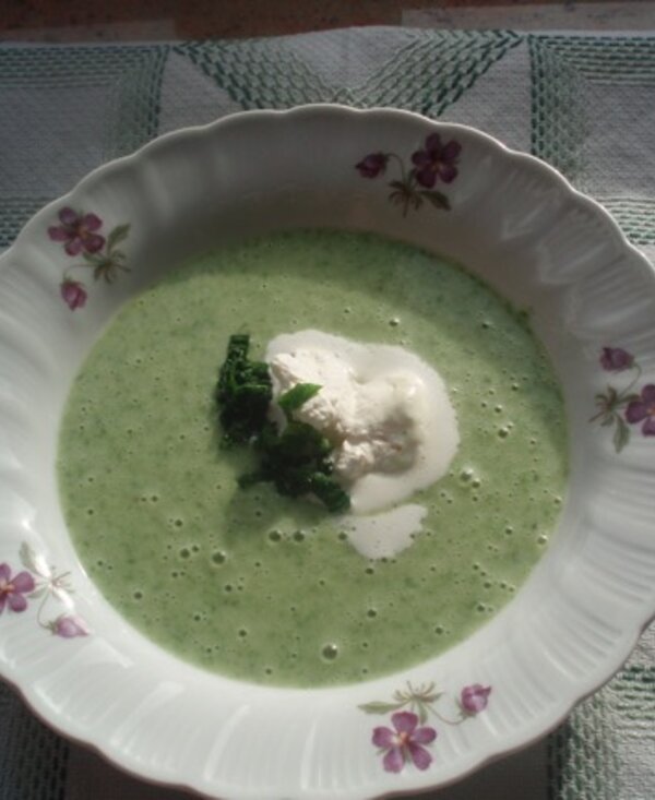 Bärlauchcremesuppe | © Biohof Reit Familie Hösl / Bettina Hösl Bärlauchcremesuppe | © Biohof Reit Familie Hösl / Bettina Hösl