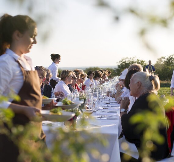 Tafeln in Unterretzbach | © Weinviertel Tourismus / Wurnig