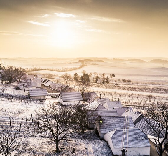 verschneite Kellergasse in Wildendürnbach im Weinviertel | © Niederösterreich Werbung / Robert Herbst