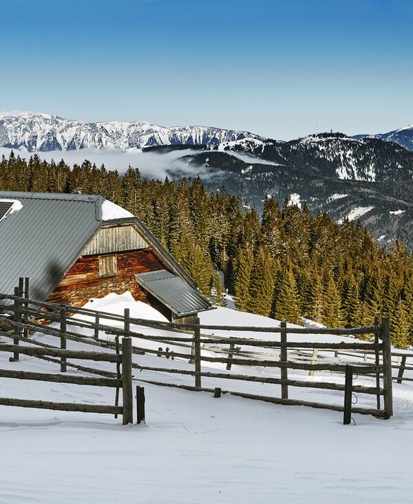 verschneite Winterlandschaft mit Almhütte | © Niederösterreich Werbung / Michael Liebert verschneite Winterlandschaft mit Almhütte in den Wiener Alpen | © Niederösterreich Werbung / Michael Liebert